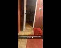 Bird laughing noises in hallway 