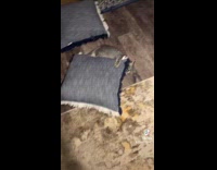 Collab Clips MPUGC - Kitten spins pillow by side running 