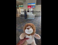Guy brings lion toy from los angeles to dubai for dog