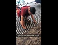 when you arent allowed to see real ones