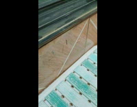 Spider with thin legs bounce on wall