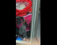Woman brings her pet rabbit in a cage onto the subway 