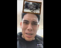 BitchMP - Filter animal look alike friends