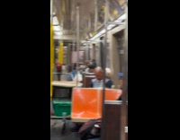 Parrot on trolley and shoulder of man subway