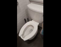 Man shows toilet flush with funny sound