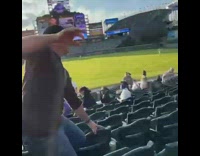 Padres baseball fan punches guy during game 