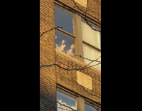 Mannequins Prompted to Look Outside Window Like Gossipmongers 