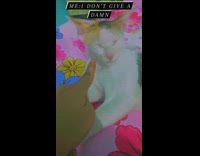 Collab PLC - Lady Boops Asleep Pet Cat on Bed