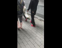 Duck walks next to stroller 