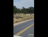 Guy falls off skateboard scorpion street car