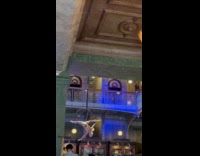 Woman acrobat on ring from the ceiling