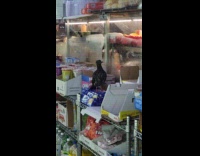 Pigeon stands on counter inside convenience store