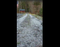 Guy and cat race each other outside 