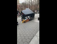 Pt. 2 Guy plays grand piano with people laying under piano at the park