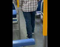 Pigeon flies inside bus 