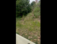 Collab BitchMP - Badger crawling at Park City Alpine Slide 