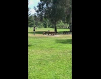 Guy decline push up exercise park table