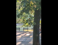 Man use pogo stick bounce at park