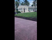 Woman in black cat costume tiktok dance at the park