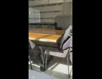 Collab BitchIG2 - Cat on chair meowing looking around owner at window outside