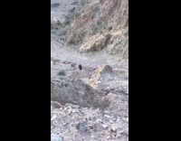 Guy pushes tire off cliff into water 