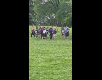 Group of people have battle with shields and swords 