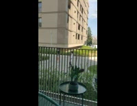 Man white shirt foreigner music video shoot 