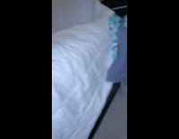 Brown dog hide under bed scared thunder