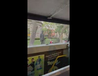 Man woman red jacket dance railings statue