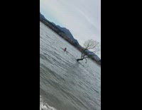 Two people swim beach photo shoot tree