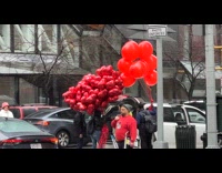 People stuffin cluster of balloons in car trunk