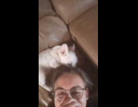 White puppy bite pull hair of woman