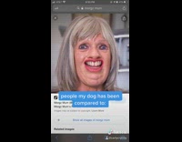 Collab BitchIG2 - People dog has been compared to