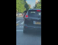 Person holding a puppet outside driver window in parked car