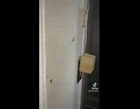 Little kid says hey daddy to spider on wall 