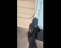 Collab Clips MPUGC - Woman disgusted by cowgirl boots of neighbor