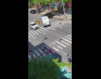 Guy drives remote control car with pet inside 