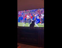 [third party - tv] Cat Blocks and Watches Television Up Close