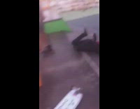 kid in red jumps skateboard kid next to him grey shirt