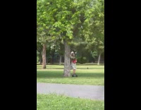 Woman in dress takes selfies in park