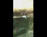 Penguin swims float feet paddle water zoo