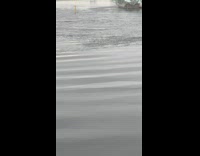 Green sculpture on ocean water 