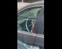 Collab WINY - Woman drive car wear too many rings