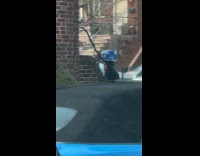 Woman balance bottles on head while walking