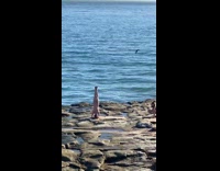 Woman beige bikini headstand legs split beach rocks