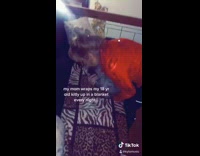Collab BitchMP - Woman in red sweater wraps cat in zebra stripe blanket 