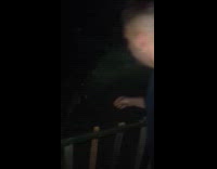 Man Feeds Wild Fox Piece of Food Part 1