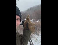Photographer finds eagle with long distance camera 