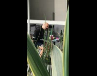 Bald man sings in front of  his phone at the table