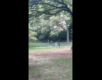 Guy casts fishing rod in the park